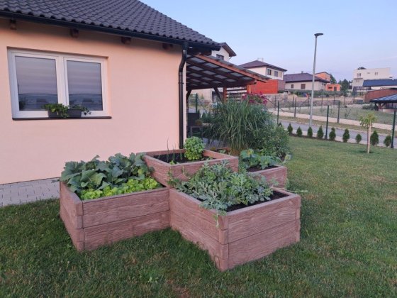 Vyvýšený záhon z betonových komponent vám usnadní pěstování bylinek, zeleniny i okrasných květin